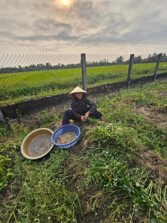 My Anh Boutique Villa 会安 外观 照片